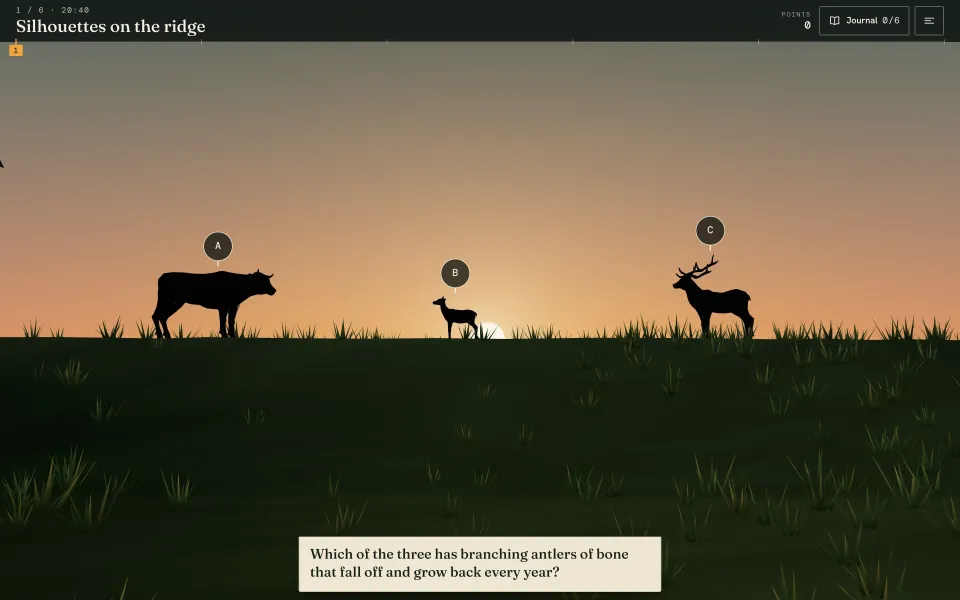 WILD game, animal silhouettes on a ridge at sunset